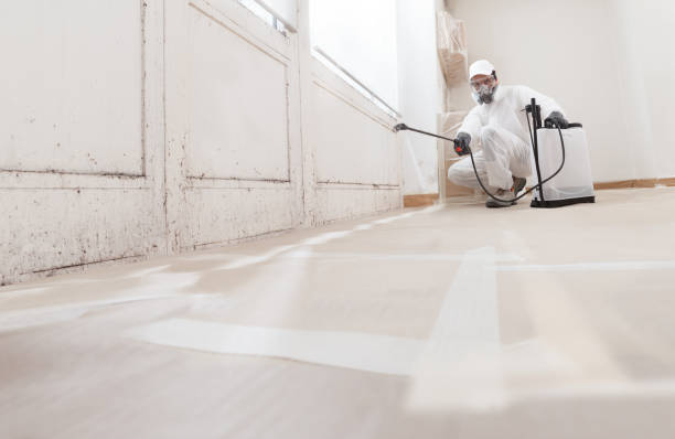 24/7 Emergency Mold Removal experts in Paxinos, PA