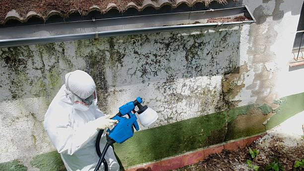 Trusted Basement Mold Remediation service in Paxinos, PA - Cheap Mold Removal